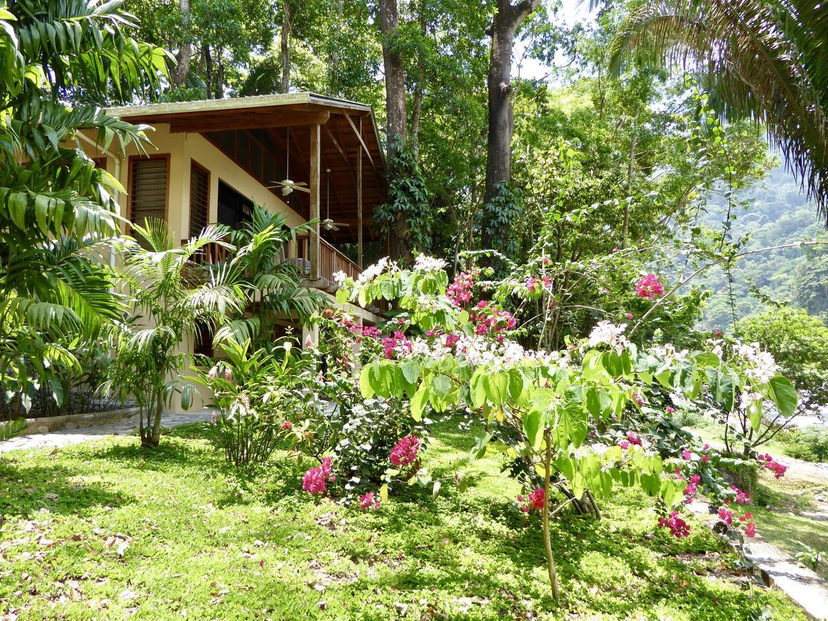 Villas Pico Bonito Ла-Сейба Экстерьер фото
