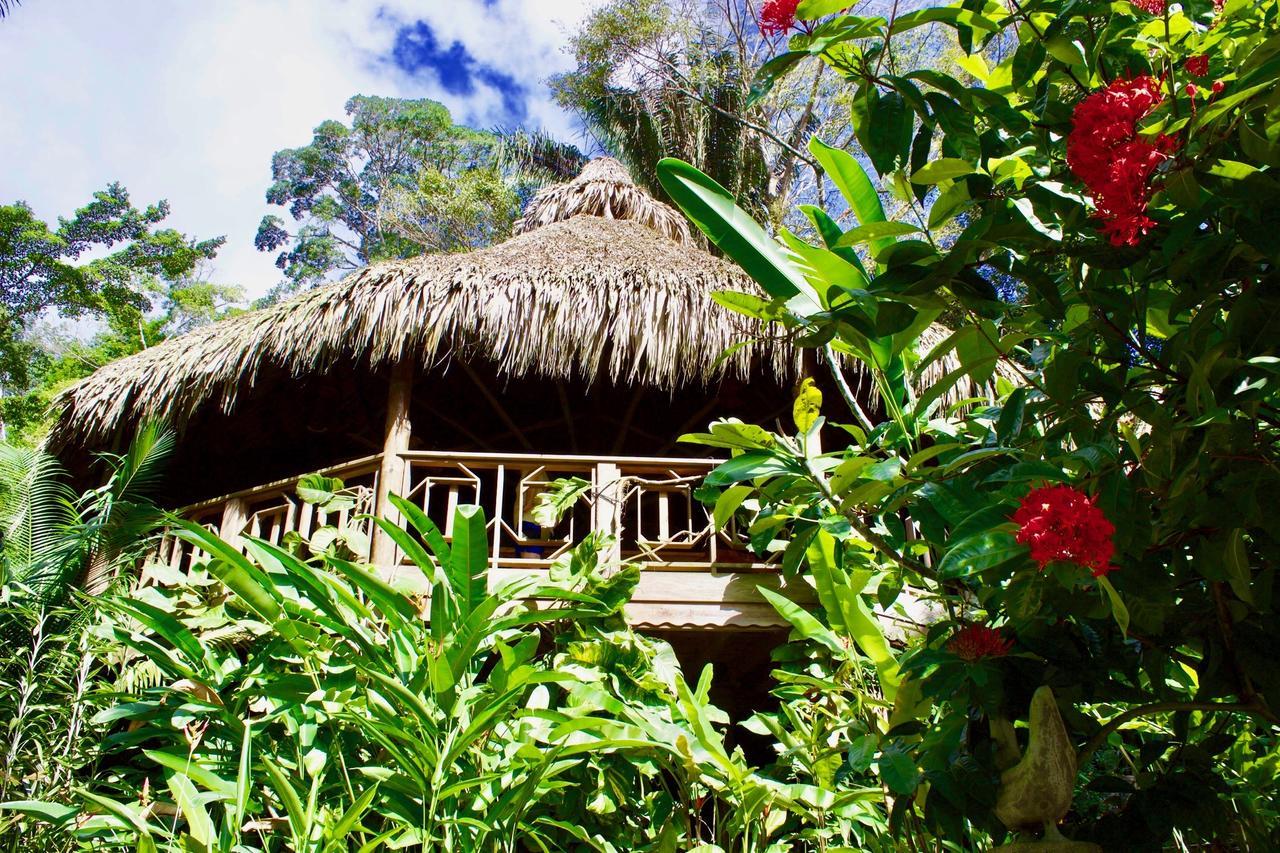 Villas Pico Bonito Ла-Сейба Экстерьер фото